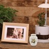 WOOPSOO Mini Hummingbird Urns for Adult Ashes Dog Cat Ash