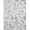 Pink Dot Caps - Wide - Spray Paint Caps Replacement