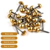 Worldity 30 Pcs Retro Solid Pure Brass Tacks, 1/2",12 mm