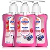 Sagrotan Hand Soap Blackberry and Forest Fruits – Hygienic Liquid