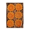 Set 6 Girasoli in Terracotta 6 cm con calamita