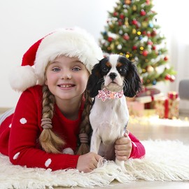 Babole Pet Christmas Girl Dog Collar Flower Tie,Pink Elk Santa Claus Female Dog Collar with Safety Metal Buckle Adjustable Puppy Floral Collars for Small Medium Large Dog,Large, Neck 16"-24"