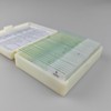 30 Pcs Microscope Slides Prepared Biology Specimen Lab Sample with