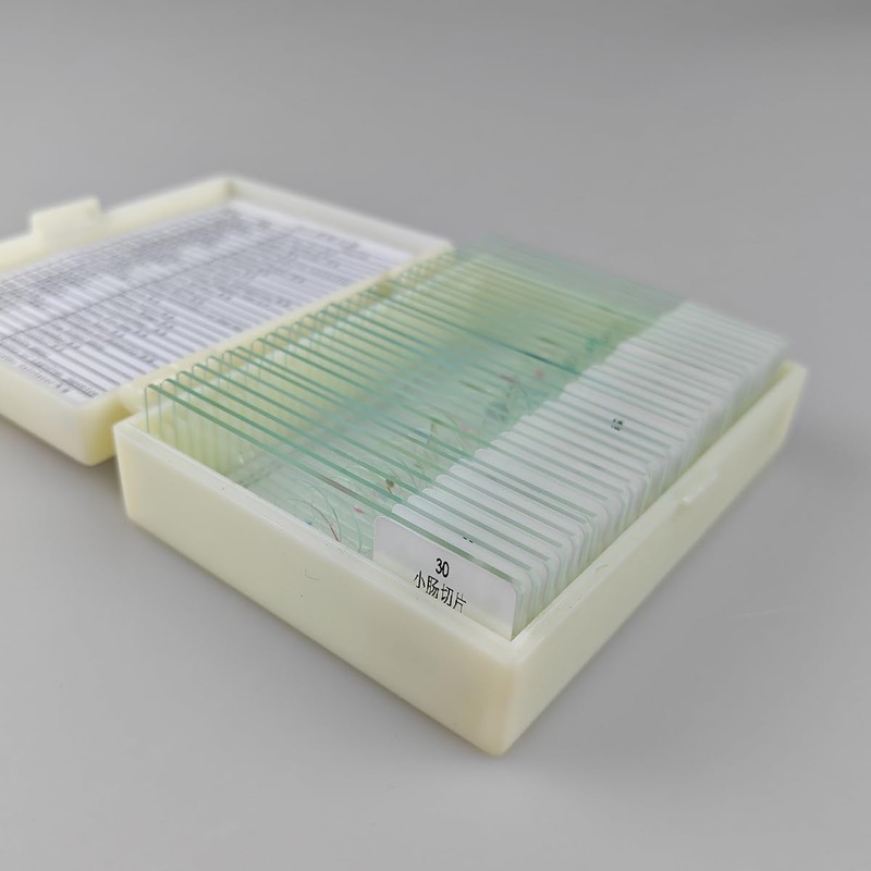 30 Pcs Microscope Slides Prepared Biology Specimen Lab Sample with
