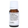 CONIUM Maculatum D 6 Globules 10 g