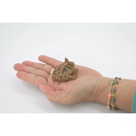 Unbranded Horned Frog, Hand Painted, Realistic Rubber Figurine Toy 2.5" CH542 BB159