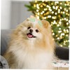 COLLBATH Pet Fashion Essential Pcs Cute Dog Hair Clips Hair