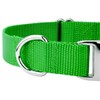 Country Brook Petz Premium Nylon Dog Collar with Metal Buckle