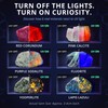 PIBEX Fluorescent Rock Science Kit, 6 Glowing Rocks, with UV