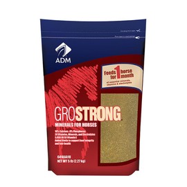 ADM ANIMAL NUTRITION 1Piece 5 lb Horse Vitamin/Mineral