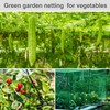 4 x 6 m Bird Protection Net, Tight Mesh, Pond