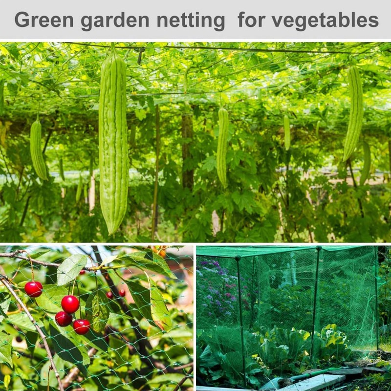 4 x 6 m Bird Protection Net, Tight Mesh, Pond