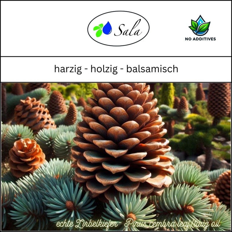 Sala Zirbelkieferöl Zirbenöl Aroma ätherisches Öl naturrein BIO 30 ml