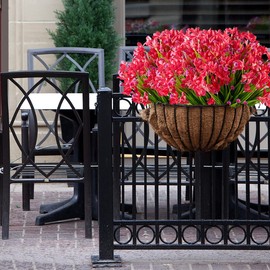 JOYGAR 12 Bundles Artificial Flowers Fake Daffodils Flowers UV Resistant No Fade Faux Greenery Faux Plastic Lotus for Wedding Garden Hanging Planter Indoor Porch Patio Office Home Decoration(Red)