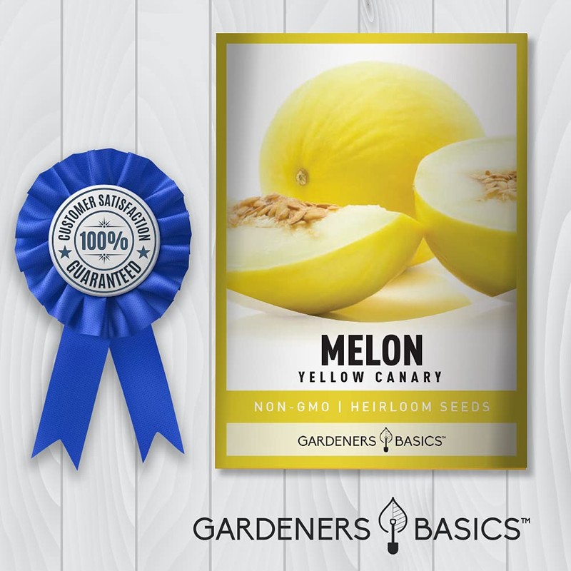 Yellow Canary Melon Seeds for Planting Heirloom, Non-GMO Vegetable Variety-