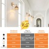 Shenmoyl Vintage Battery Operated Wall Sconce with Amber Tulip Glass