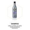 Shampoo Anti-amarillo Silver Yellow Rubio Frios Grises 500ml