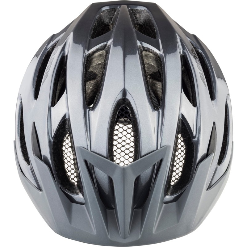 Alpina MTB 17 Adults Helmet In Grey 54-58CM