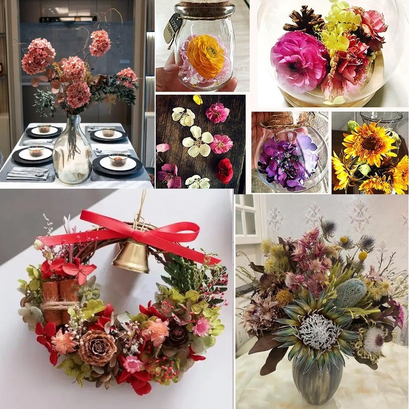 3 Pounds Color Indicating Premium Silica Gel Flower Drying Crystals