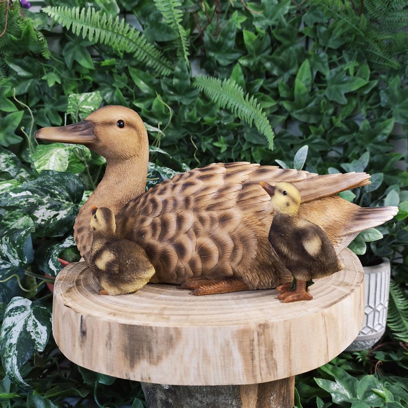 Vivid Arts - Mother Duck & Ducklings -