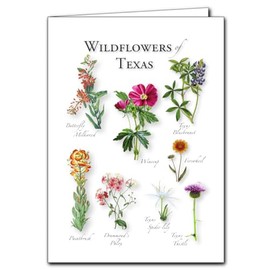 Earth Sky + Water - Wildflowers of Texas - 5_ X 7_ Greeting Cards