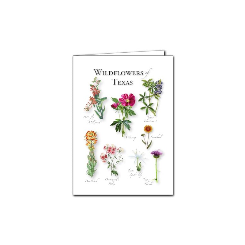 Earth Sky + Water - Wildflowers of Texas - 5_