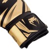 Venum, Challenger 3.0 Boxing Gloves, Unisex Adult, 10 Oz, Black/Gold