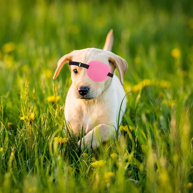 Beavorty Parche Ocular Ajustable para Perros, Suave y Protector