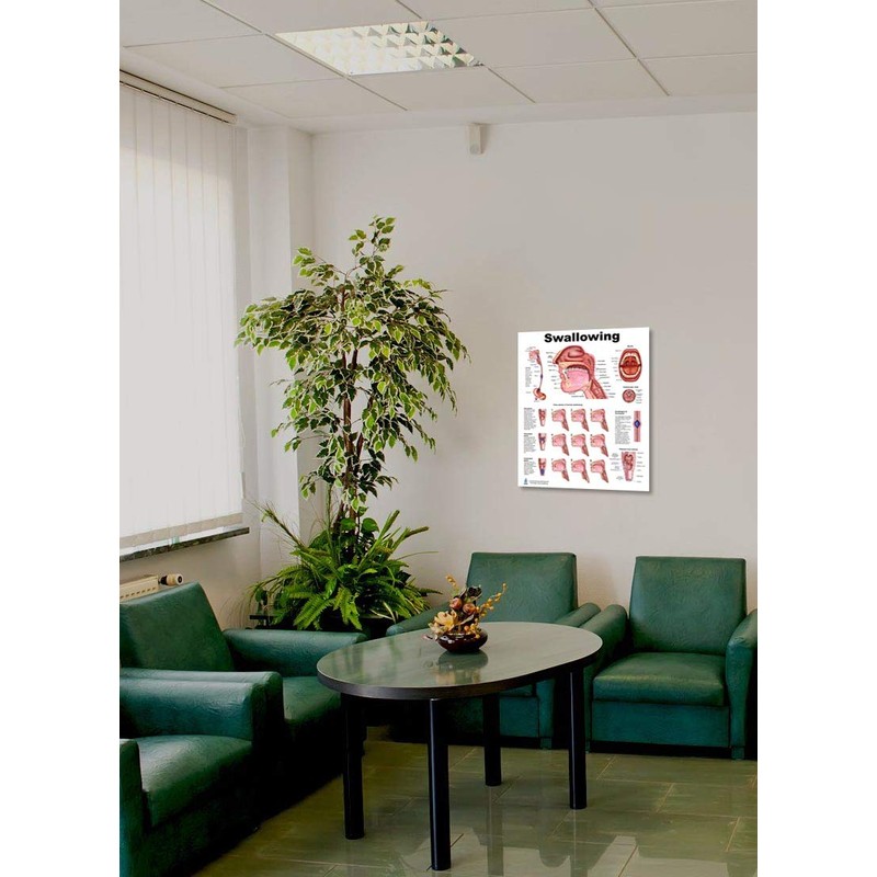 Blue Tree Publishing Swallowing anatomy education (16 x 20 inch)