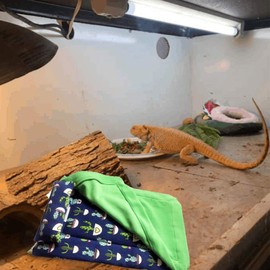 Dnoifne Reptile Sleeping Bag, Reptile Pets' Sleeping Bag Set with Pillow and Blanket, Hideout Habitat with Soft Warm for Bearded Dragon Leopard Gecko Lizard (Blue)