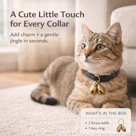 kcrygogo Copper Bell for Small Pet Collar Bell for Cats and Medium Small Dog & Cat Collar Bells Loud Brass Pet Safety Bells Anti-theft Bell，Fits All Size Collars(4pcs)