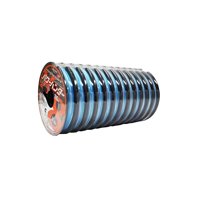 X-Braid Power Hunter Progressive X8 Multicolor 100m 12 Connections [1200m]