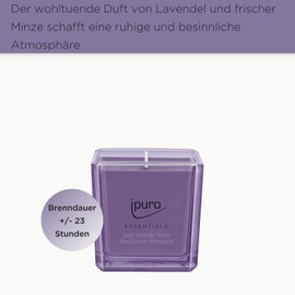 ipuro - dekorative lavender touch Duftkerze - minimalistische & puristische im Glas - intensive Duftkerzen mit besinnlichen Lavendel Noten - stilvolle Kerze 125 g