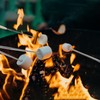 Atigrado 4 Pcs 32 inch Marshmallow Roasting Sticks - Stainless