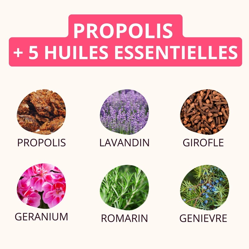 propolia Balm of the 4 Seasons Organic 60 ml