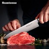 Japanese Chef Knife 9.5 inches, Professional Sushi Knife with Pakkawood