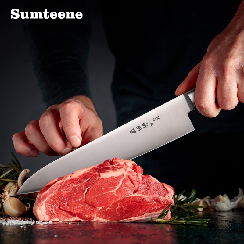 Japanese Chef Knife 9.5 inches, Professional Sushi Knife with Pakkawood