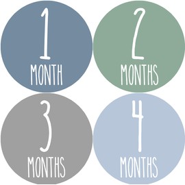 Baby Monthly Stickers | Milestone Stickers | Newborn Month Stickers for Baby Girl or Boy | Gender Neutral Stickers | Birth Announcement (Set of 24)