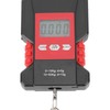 USB Charging, Fish Scale Digital Weight, High Accuracy, 110lb Backlit