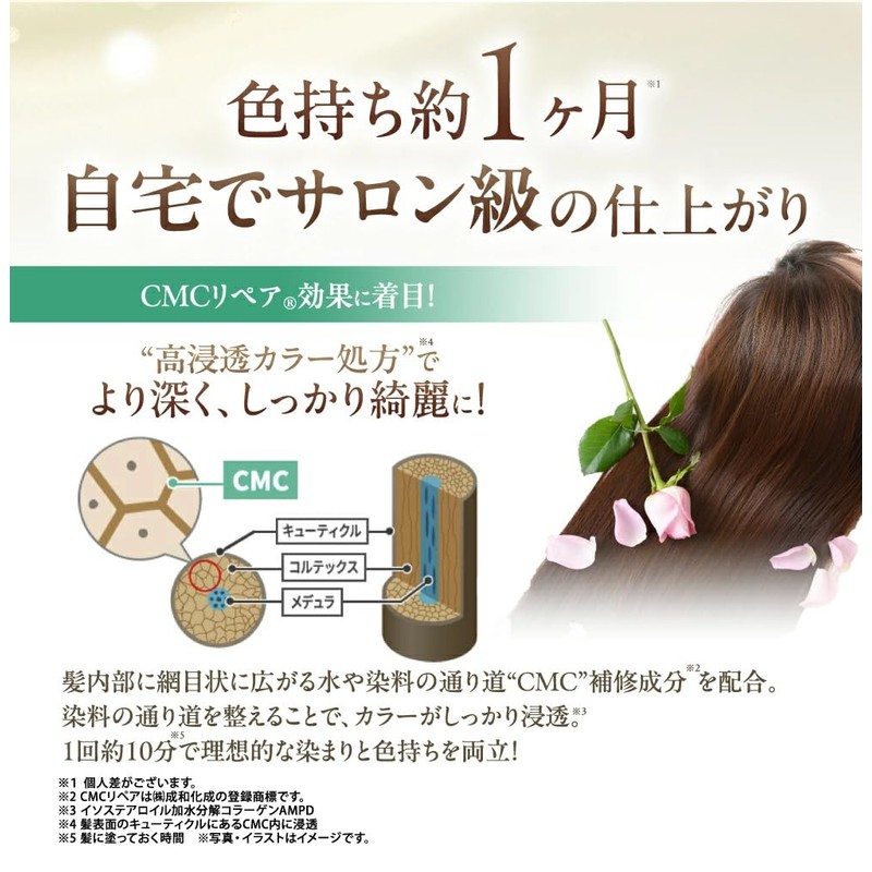 Sastty Rishiri Color Cream (Dark Brown) 6.0 oz (170 g)