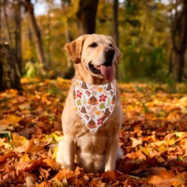 ADOGGYGO Thanksgiving Dog Bandana, Pumpkin Turkey Dog Scarf, Multi Size Offered, Fall Autumn Leaves Dog Thanksgiving Bandanas for Large and Extra Large Dogs Pets (X-Large, Thanksgiving-2)