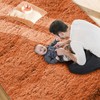 MOONLIGHT20015 Rugs Living Room Bedroom – Fluffy Shaggy Rust Area