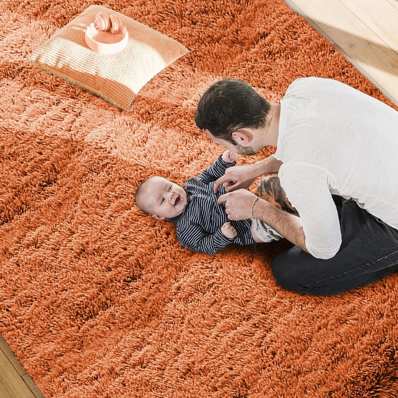 MOONLIGHT20015 Rugs Living Room Bedroom – Fluffy Shaggy Rust Area