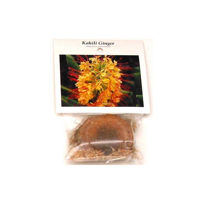 Kahili Yellow Ginger Root Hawaiian - Apx. 1 Inch #1