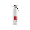 First Alert REC5 Recreation Fire Extinguisher, UL Rated 5-B:C, White,