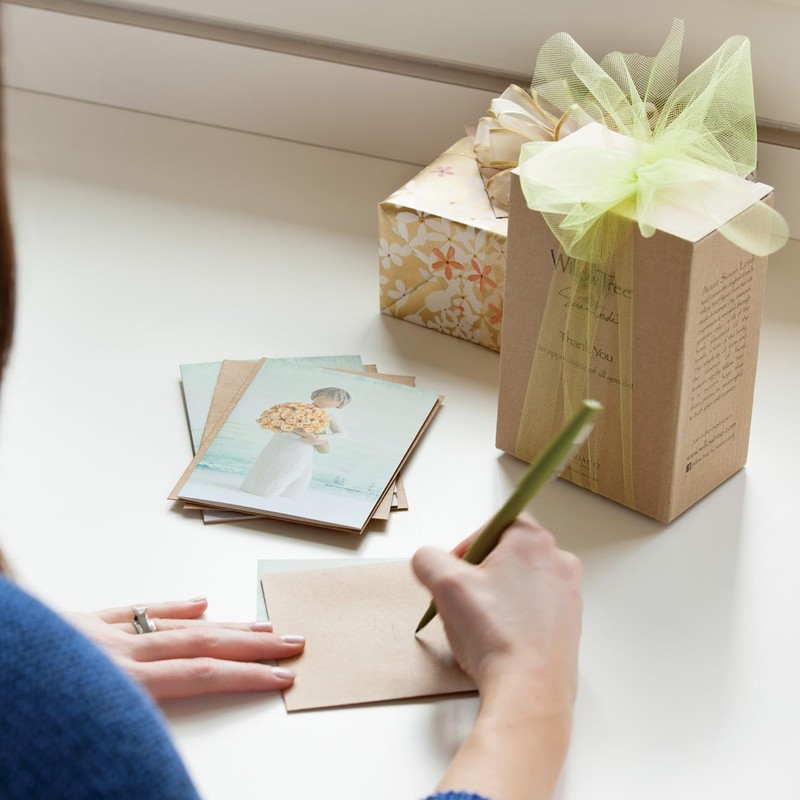 Willow Tree Good Cheer Notecards, pack of 16