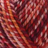 Premier Yarns Poppy Yarn-Kimchi 2128-01