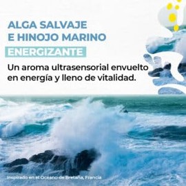 Yves Rocher MAXI SET Cuidado Corporal ENERGIZANTE Alga Salvaje e Hinojo: Crema fluida (390 ml) y Gel de ducha (400 ml)