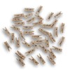 Tiny Clothespins Natural Wood - 1 Inch - 40 Count