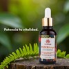 PoderFunga - Tintura Adaptógena de Doble Extracción Cordyceps, Reishi, Melena